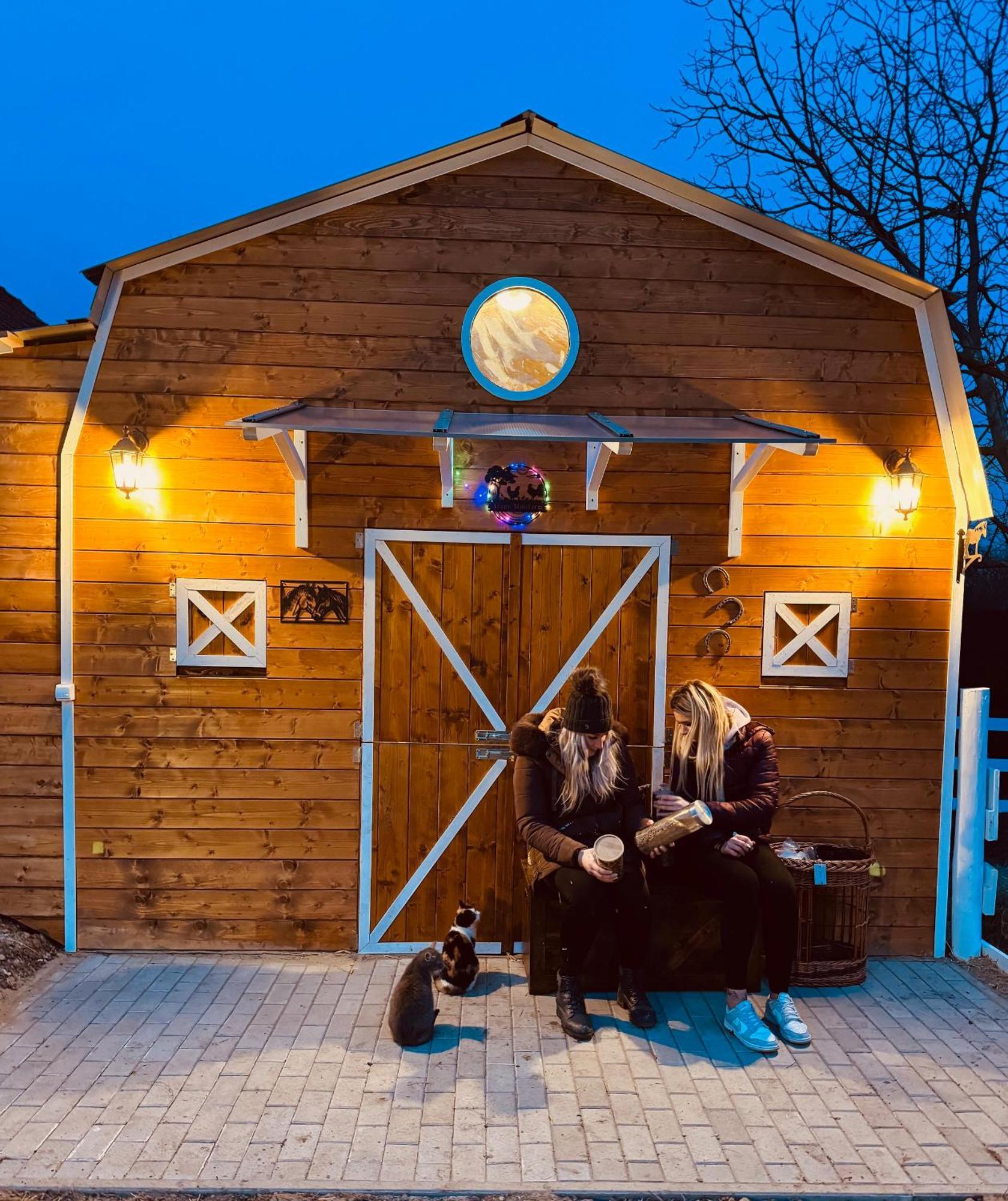 Vila Arany Vendeghaz Sarvaš Exteriér fotografie